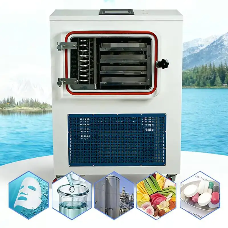 Compact Structure Pilot Freeze Drying Equipment Auto Stoppering With Leak-Proof Design