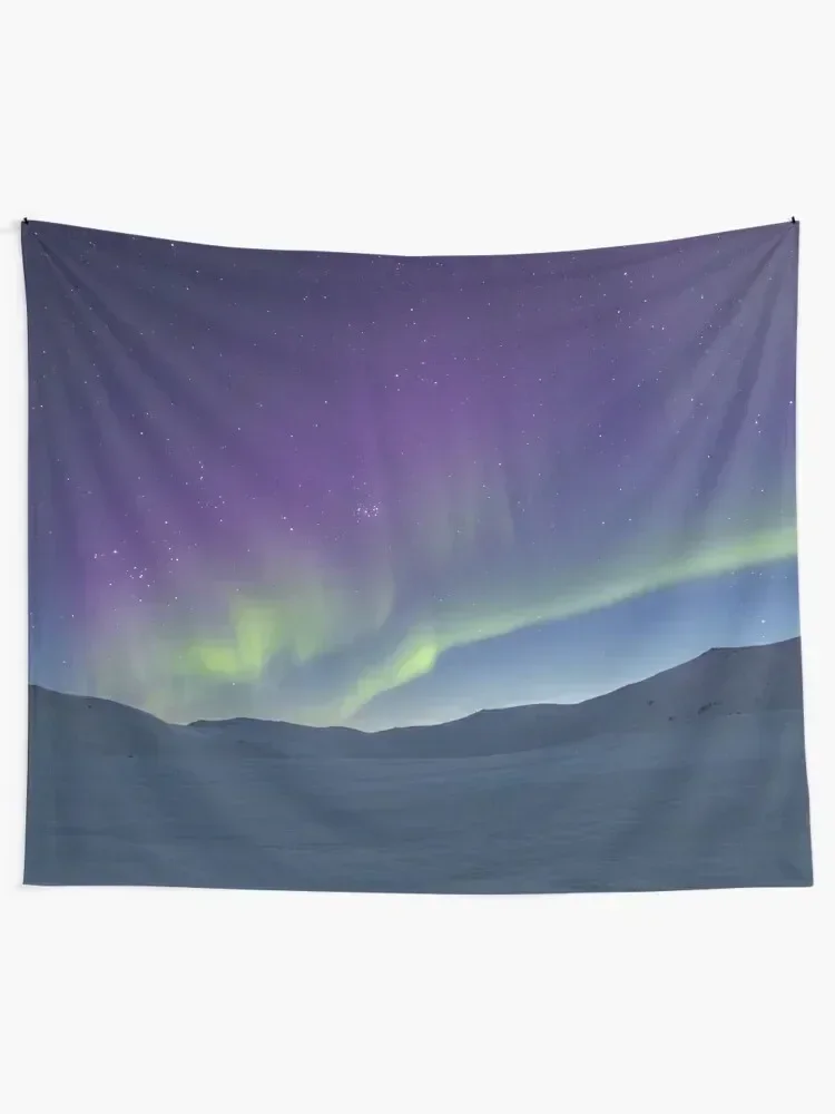 purple mixed with green northern lights mixed with the stars Tapestry Wall Coverings Room Decorations Aesthetics Tapestry