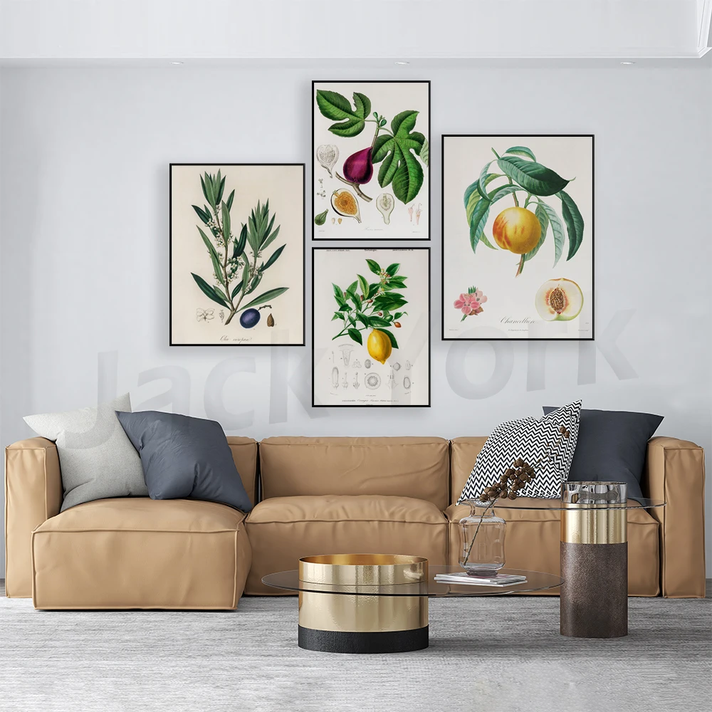 Botanica medica Illustrazione  - Plant Jackfruit recensione e prezzo