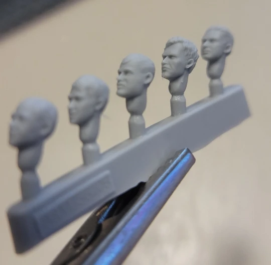 Buyer photo of this resin kit