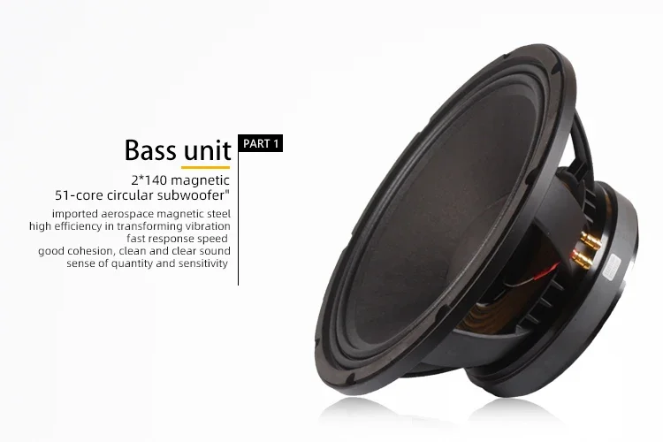 Dual 15-Inch Full Frequency Pro Audio Speakers