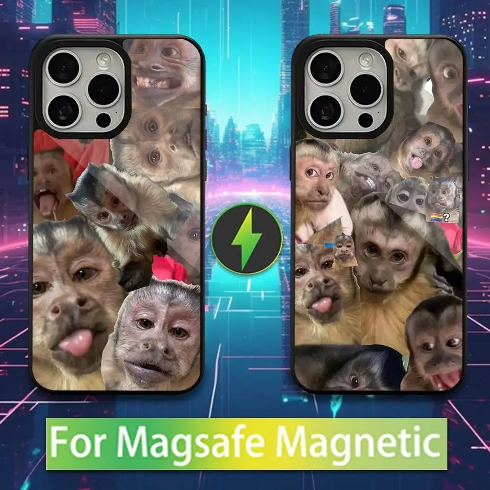 

Cute Monkey Funny Art Phone Case For iPhone 16,15,17,14,13,12,11,Pro,Max,Plus,Mini,Magsafe,Magnetic Wireless Charging Case