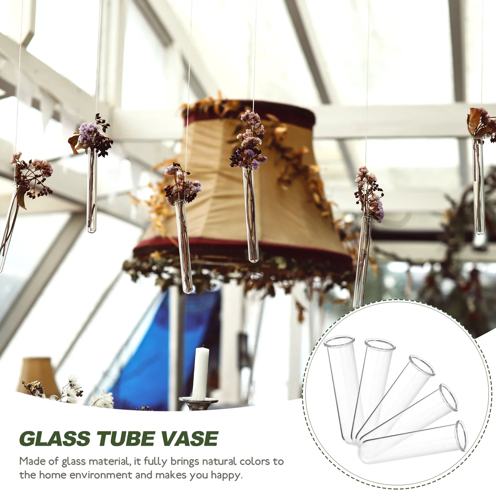 

Flower Water Tubes Test Vase Clear Plant Glass Planters for Indoor Plants Office