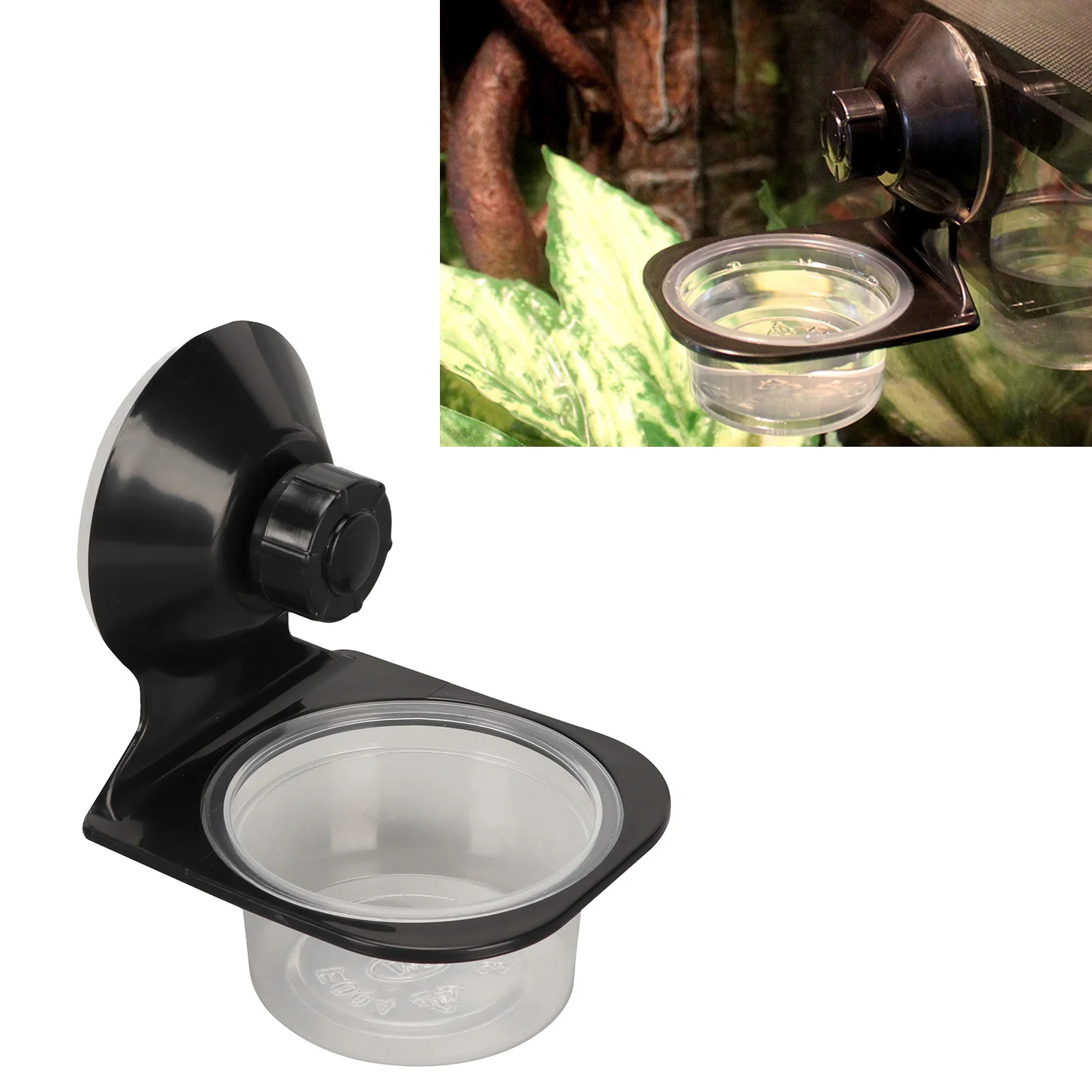 #37 Reptile Water Bowls Price Drop Alerts