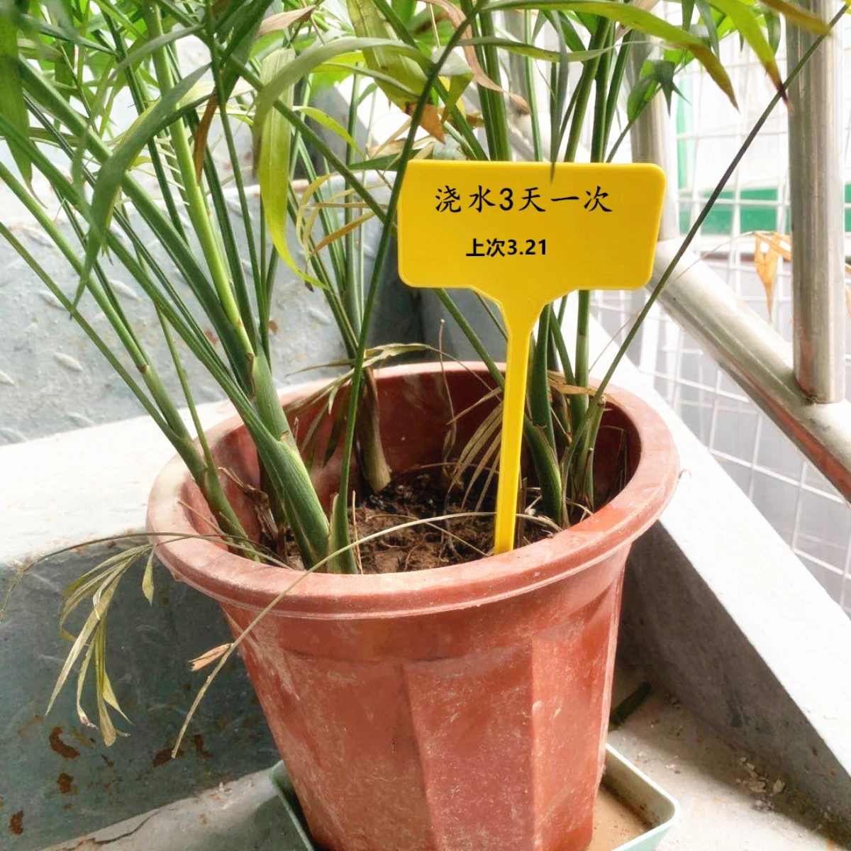 Plastic T-shaped label about 29cm, plant insert, gardening label, flower tag, plant identification tag, ground insert