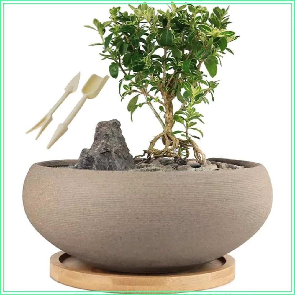 

Rough Unglazed Ceramic Bonsai Pot with Bamboo Tray, 8" Succulent Planter with Drainage Hole
