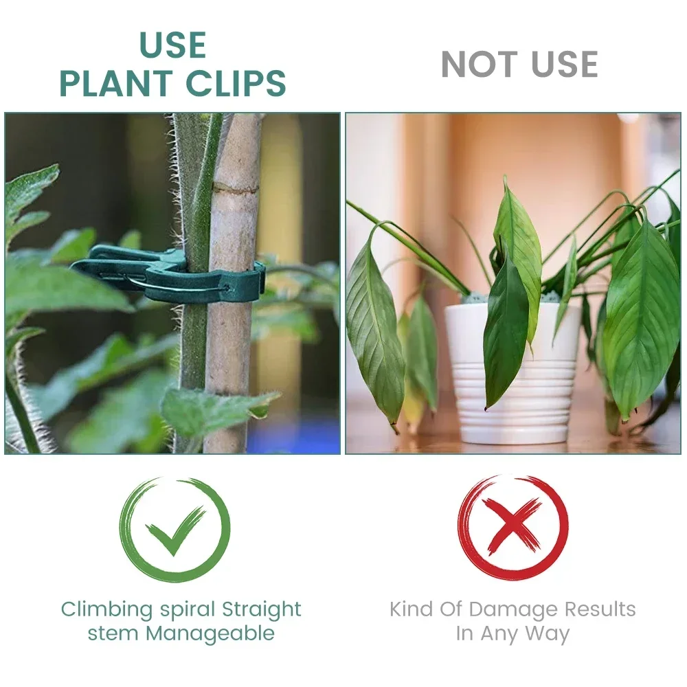 20-500 PCS โรงงานคลิปเรือนกระจกแบบใช้ซ้ําได้วงเล็บยึดลําต้นดอกไม้ VINE ผักมะเขือเทศ Fastener สวนอุปกรณ์