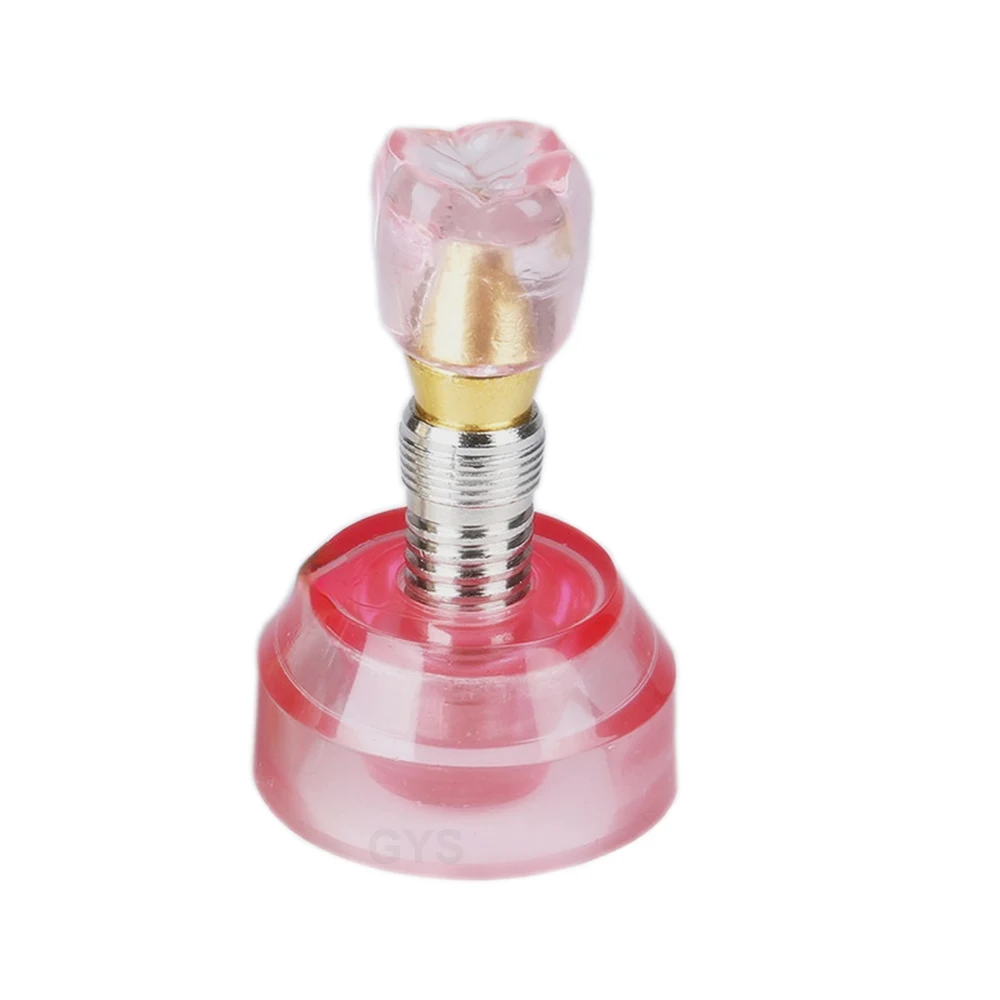 Dental Teeth Models Dental Implant Model For Education Single Transparent Detachable Implant Dentist Demonstration Tools