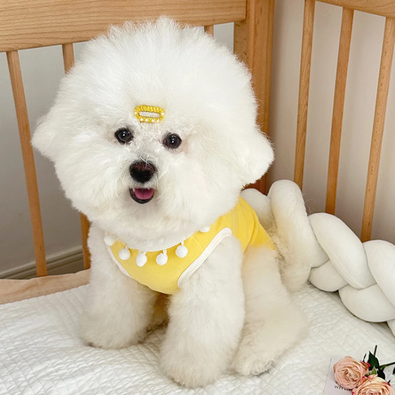 Cute Pet Spring and Autumn Base Shirt Dog Half High Collar Cat Home T-shirt Compared To Bear Teddy Schnauzer Small Dog Hoodie view 3