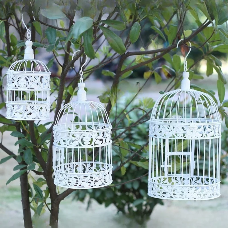 #25 Latest Photo Storage Boxes Offers