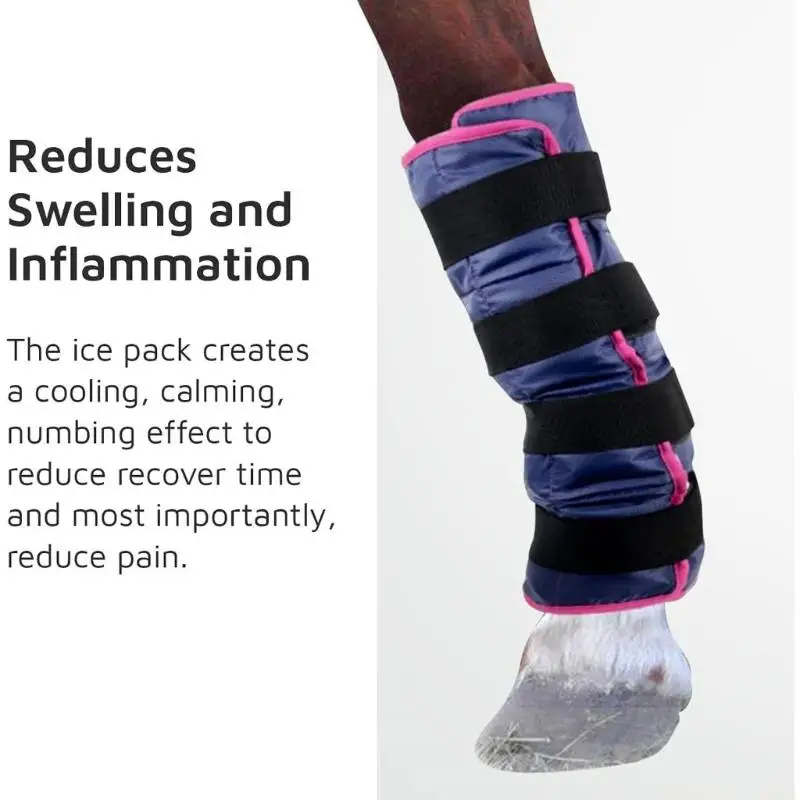 31BE Horse Cooling Comfort Footwear Flexible Chilling For Equine Legs After Activity Or Competition