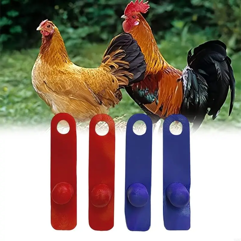2 Pack Mild elastomer Poultry Assistants Perfect For Home Flocks 55KF