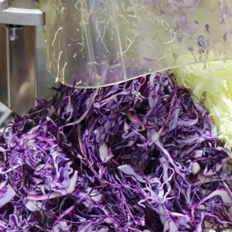 220V Countertop Cabbage Shredder, Vegetable Salad Maker, Sharp Blades, Large Cutting Head, Onion Slicer 80-100KG/H