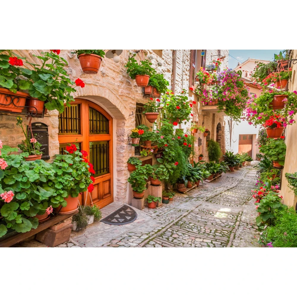 Countryside Italian Streets Town Floral Backdrop Wood Door Window Flower Alley Courtyard Baby Portrait Photography Background