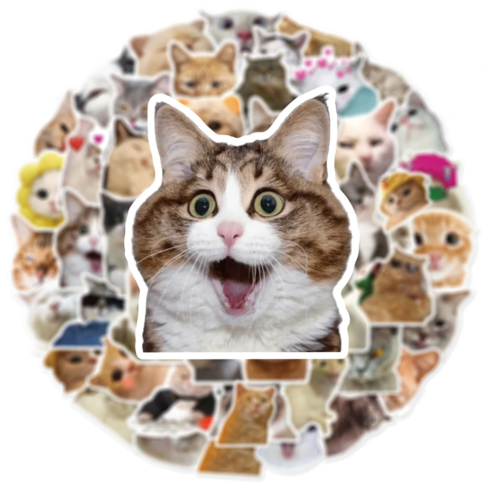 10/30/50pcs Cute Cats Stickers Funny Animal Meme Catoon Decoration Decal DIY Notebook Phone Fridge Car Kawaii Sticker Joke Toys