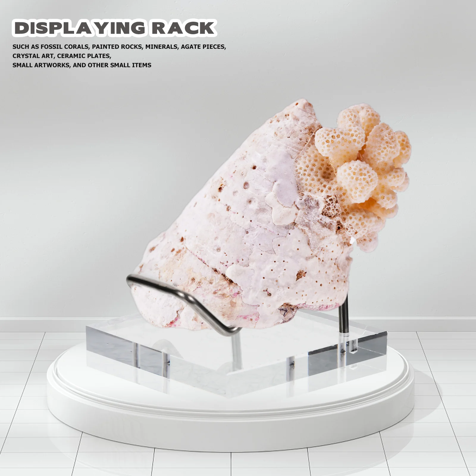 

Raw Gemstone Display Stand Premium Material Sturdy Rack for Minerals Glass Arts Pottery Plates Small Collections