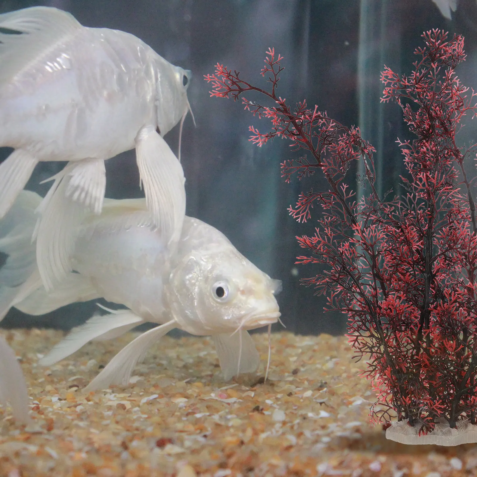 ต้นไม้จำลอง 2 ชิ้น สำหรับตกแต่ - Planted Aquarium Models บทวิจารณ์และราคา