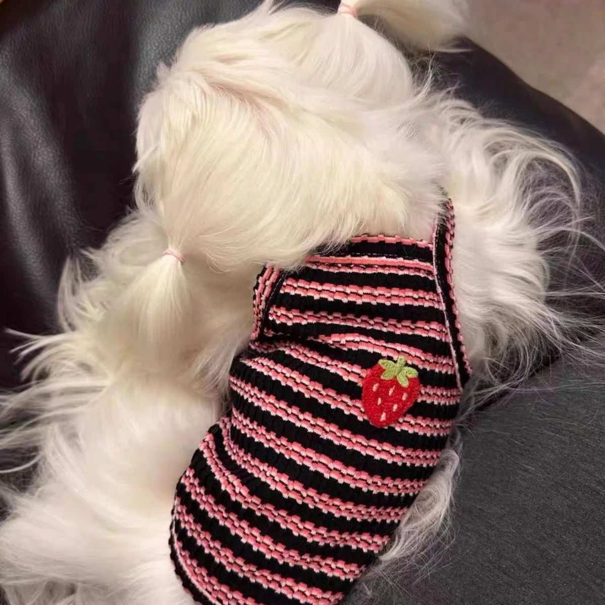 1 Stück Sommer Gestreifter Bestickter Hundestrickpullover Atmungsaktive Niedliche Haustierkleidung für Kleine Hunde Französische Bulldogge Bichon Welpen Katzenbekleidung