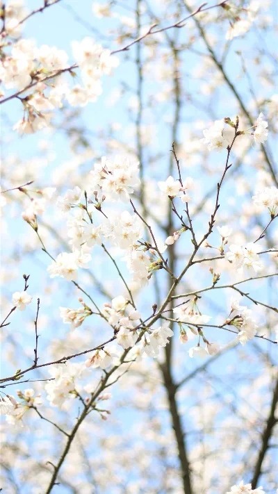 

SY1203 1:12 Full Scale Four wheel Drive Drifting Rally Car with Gyroscope Toy Racing Gift Children RC CAR