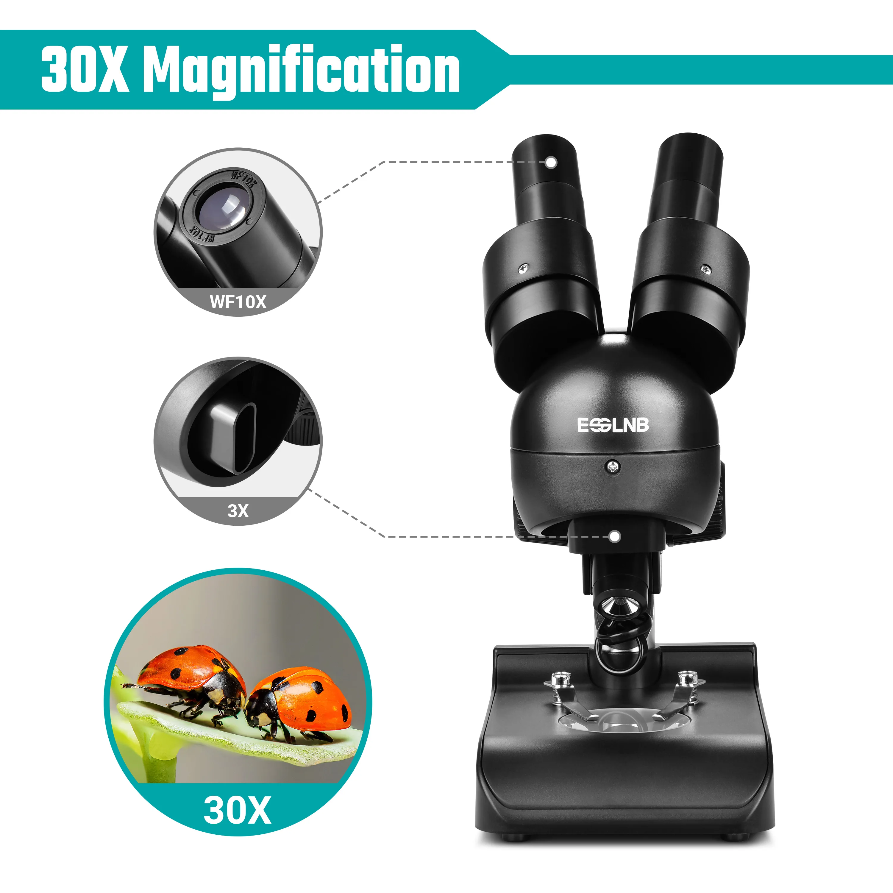 Protable HD Stereo Microscope 30X with Top & Bottom Illumination for Mineral Stamp Specimen Watching PCB Soldering Mobile Repair