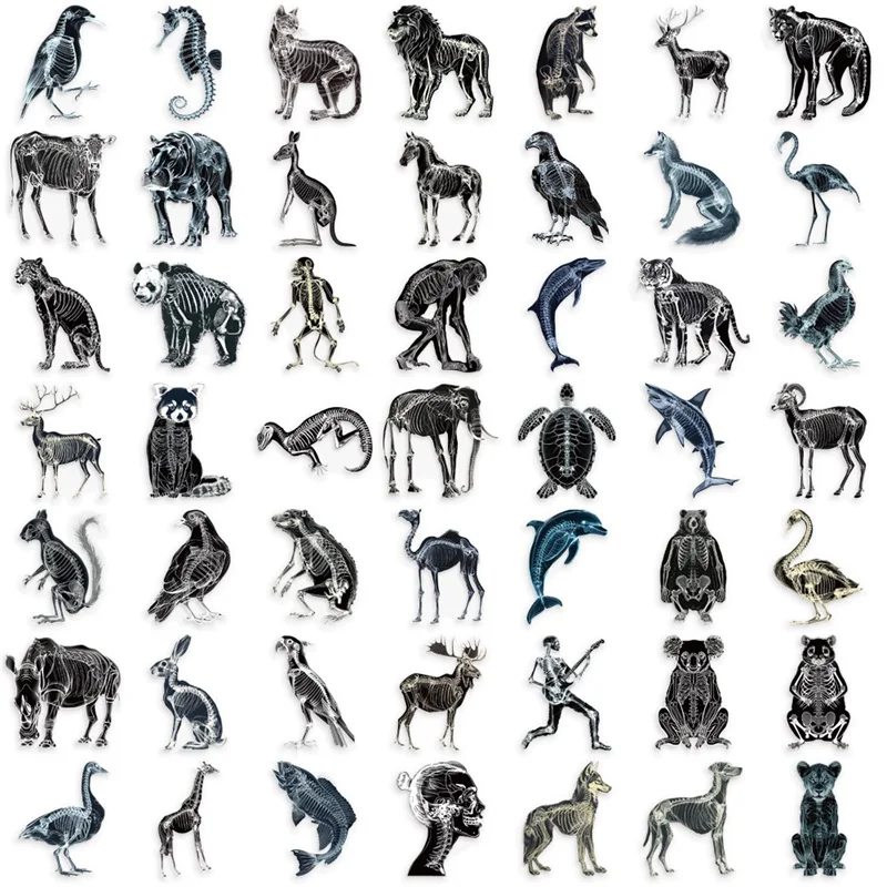 50PCS Animal Perspective PET Sticker Aesthetic Decoration Scrapbooking Stationery DIY Hand Accounting Tools Supplies for Kids