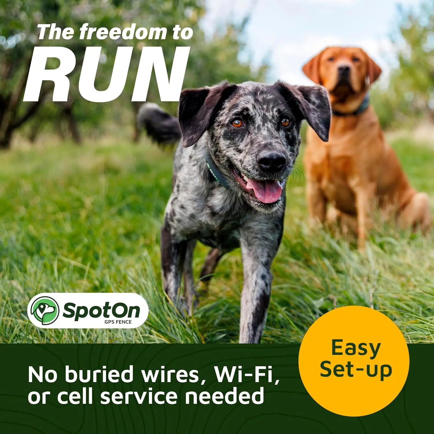 GPS Dog Fence, App Based Wireless Dog Fence Collar, Waterproof, Accurate & Reliable GPS Dog Fence