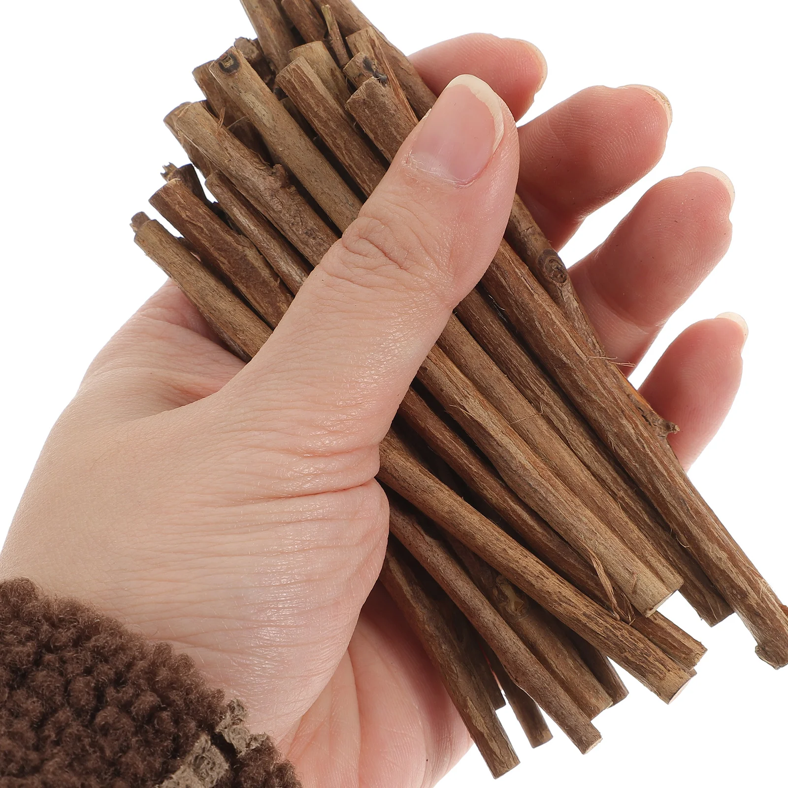 100 Pcs Wood Log Sticks for DIY Boxwood Decor Accessories Tea Tree Wooden Office