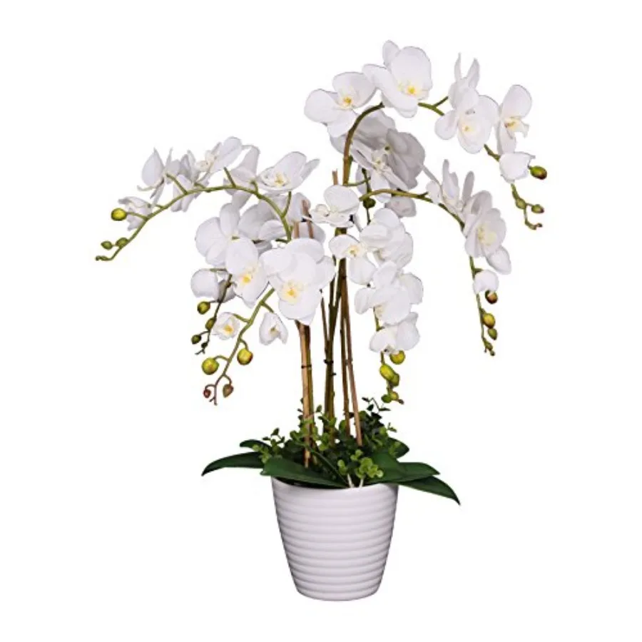 

691322320985 Unique and Gorgeous Phalaenopsis Orchid Artificial Silk Flower Plant, Silk Flowers with Real Touch Leaves, with Nu