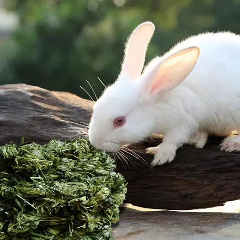 Juguete para masticar conejo de hierba Timothy, piezas hecho a mano, juego de animales pequeños, molares, palo de hierba para conejos, hámster, conejillos de indias