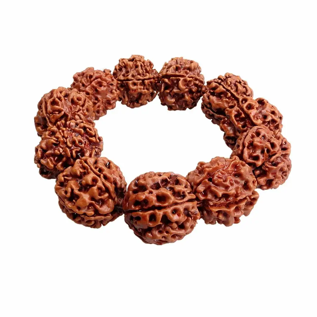 20mm Rudraksha Beads Tibetan Buddhism Prayer Amulet Bracelet