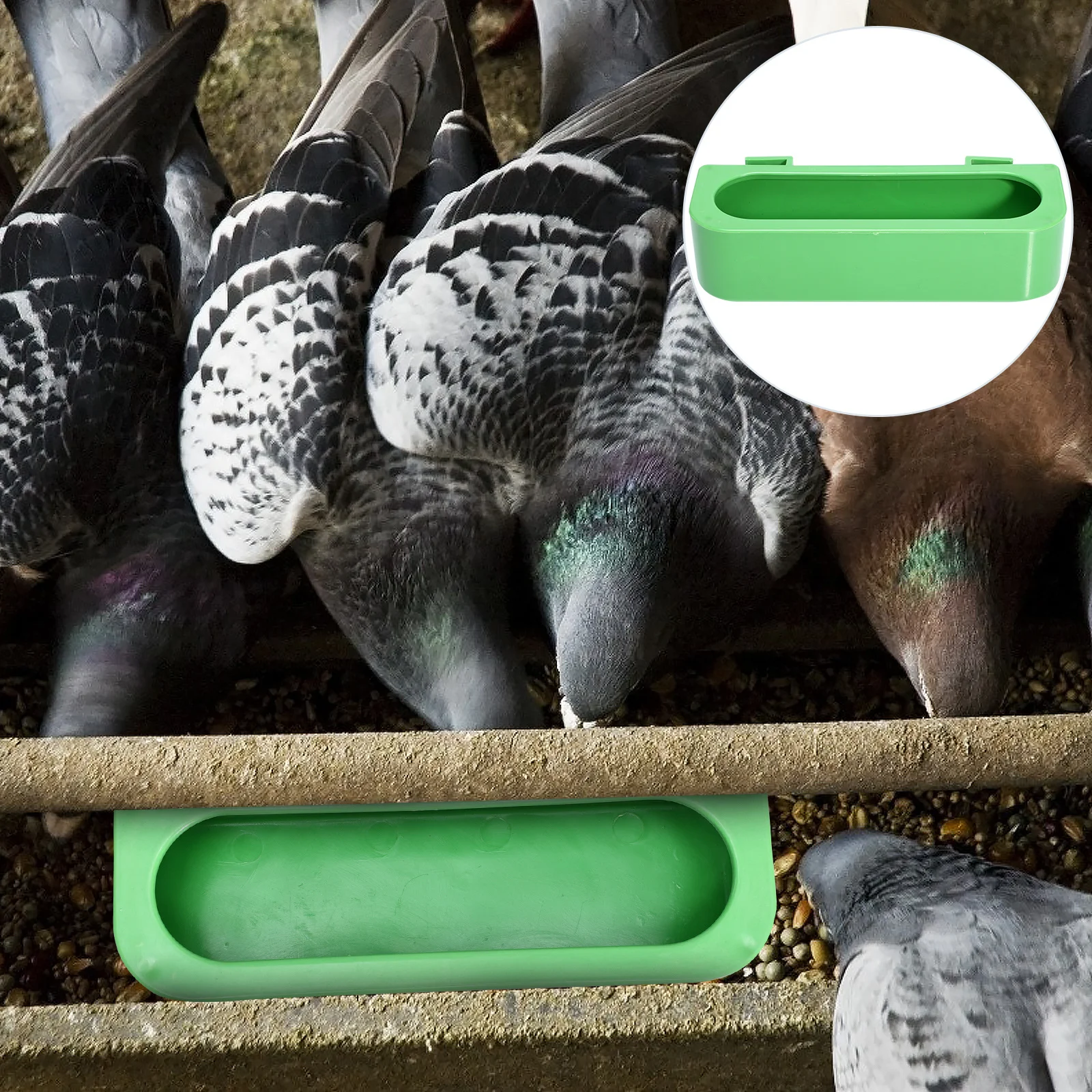 

4Pcs Plastic Bird Feeders Heavy Duty Food Box for Pets Weather Resistant Bird Cage Feeding Trough Parrot Supply Container