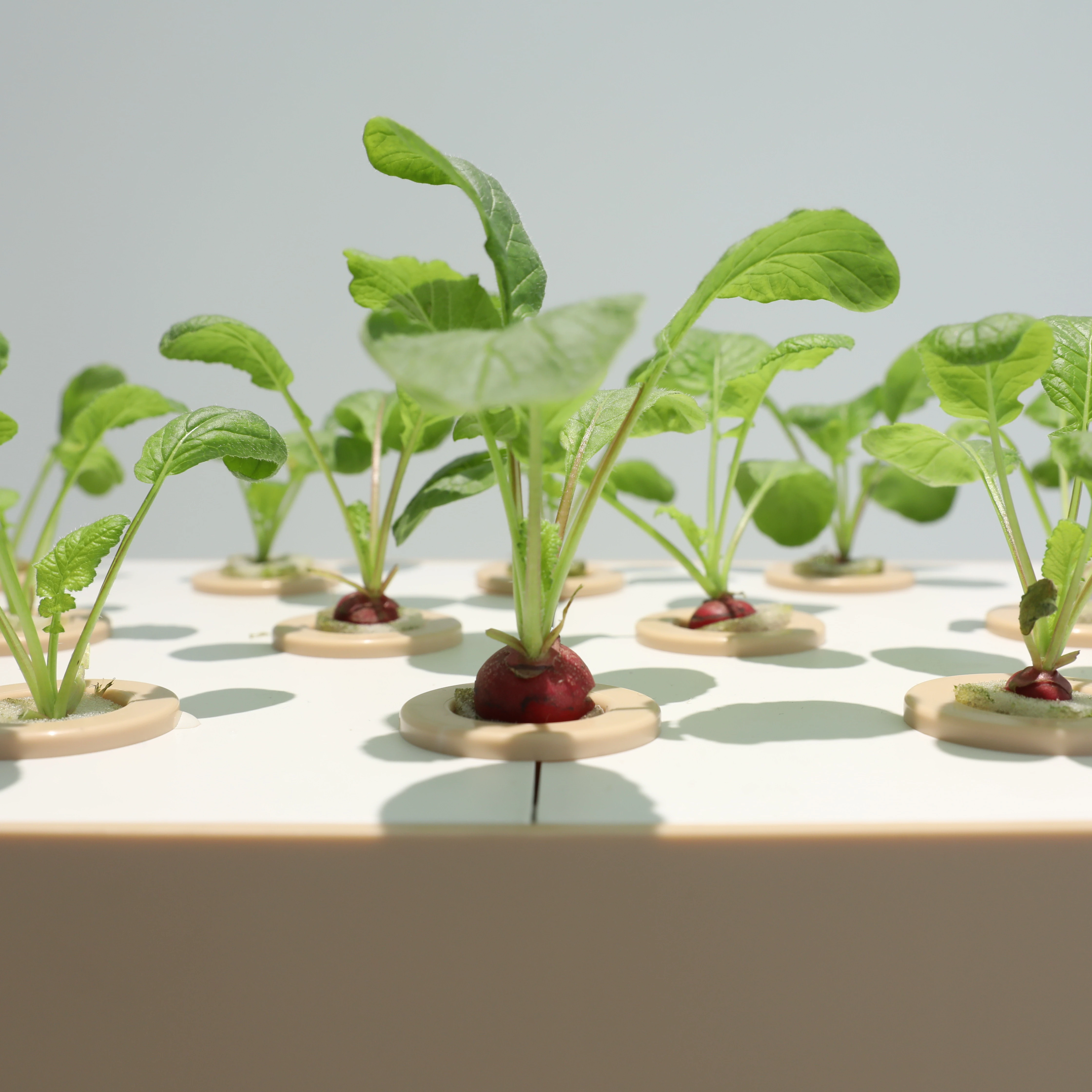 水耕タワースマート水サイクル成長野菜コンテナ