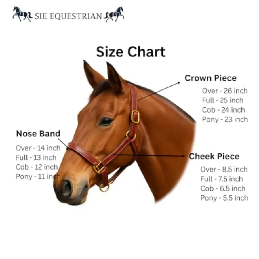 English horse leather braided halter for equestrian use brown durable and adjustable