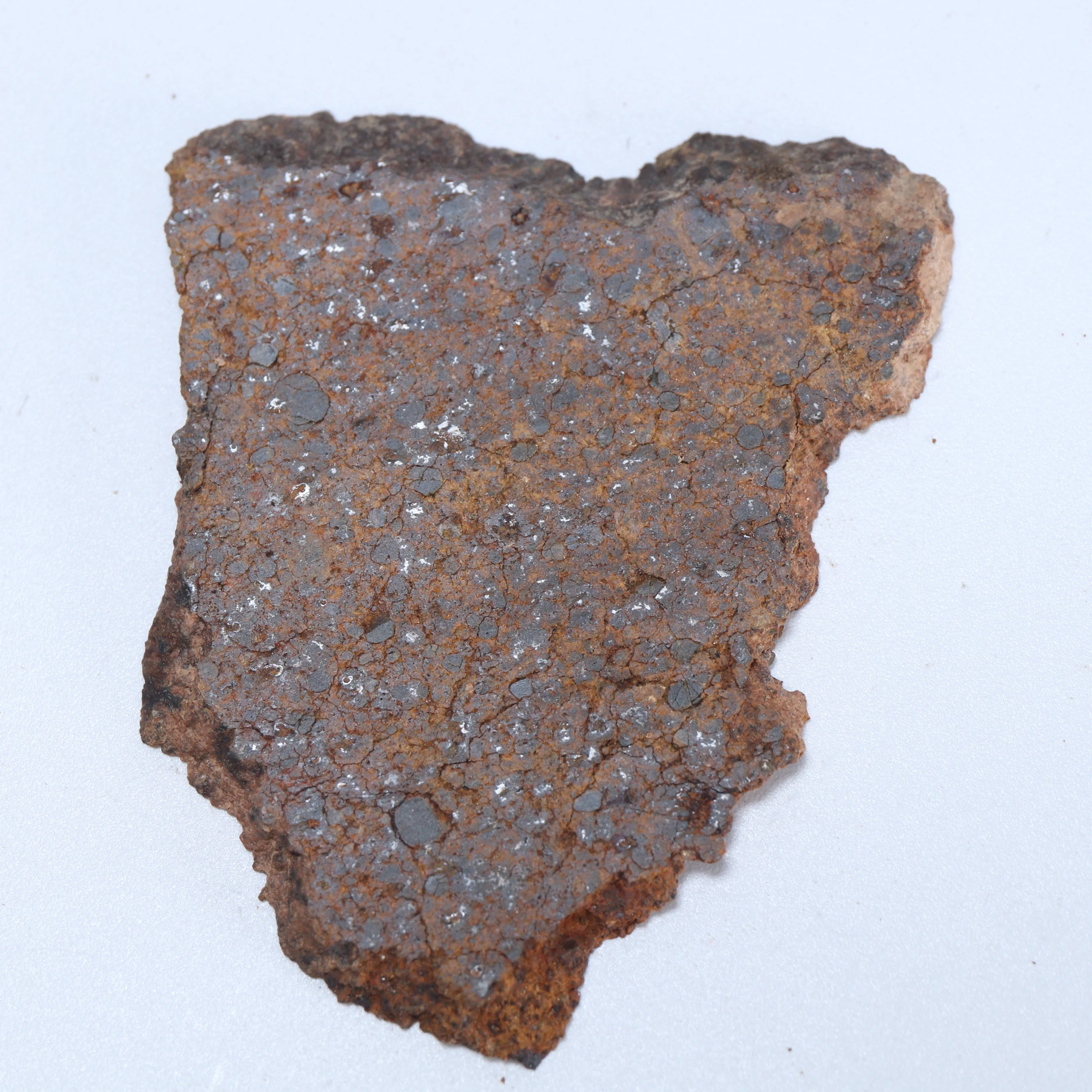 NWA Meteorite Chondrite Slice