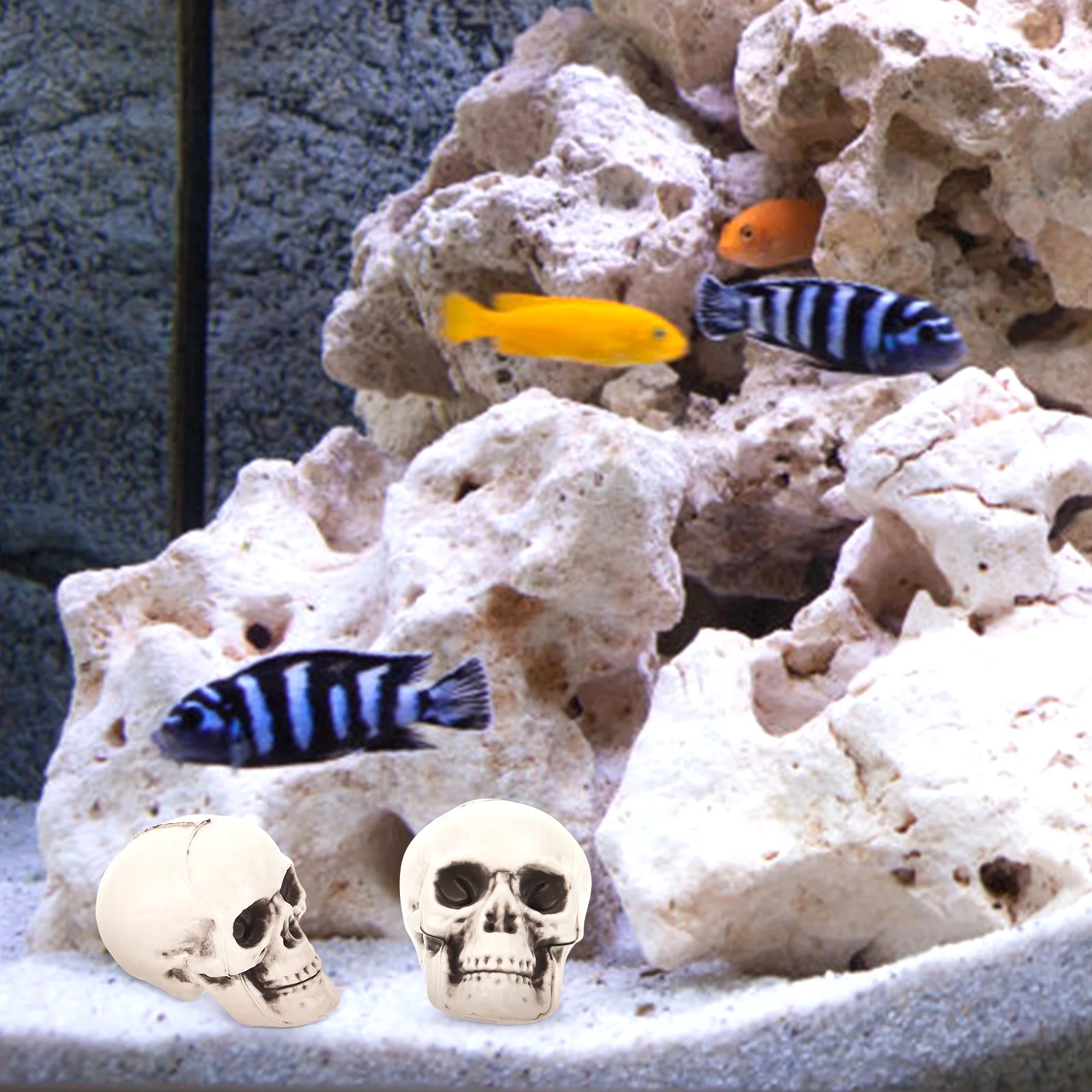 

13Pcs Fish Aquarium Skull Resin Decoration Skull Shaped Fish Cave Aquarium Hideout Fake Shrimp Hide Places