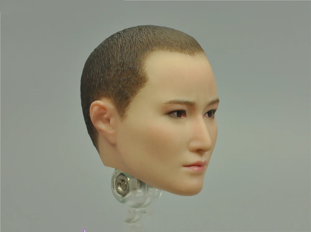 

1/6 DAMTOYS DAM DMS015 Operation Red Sea Tong Li Female Head Sculpture For Usual 12inch Body Doll Collectable