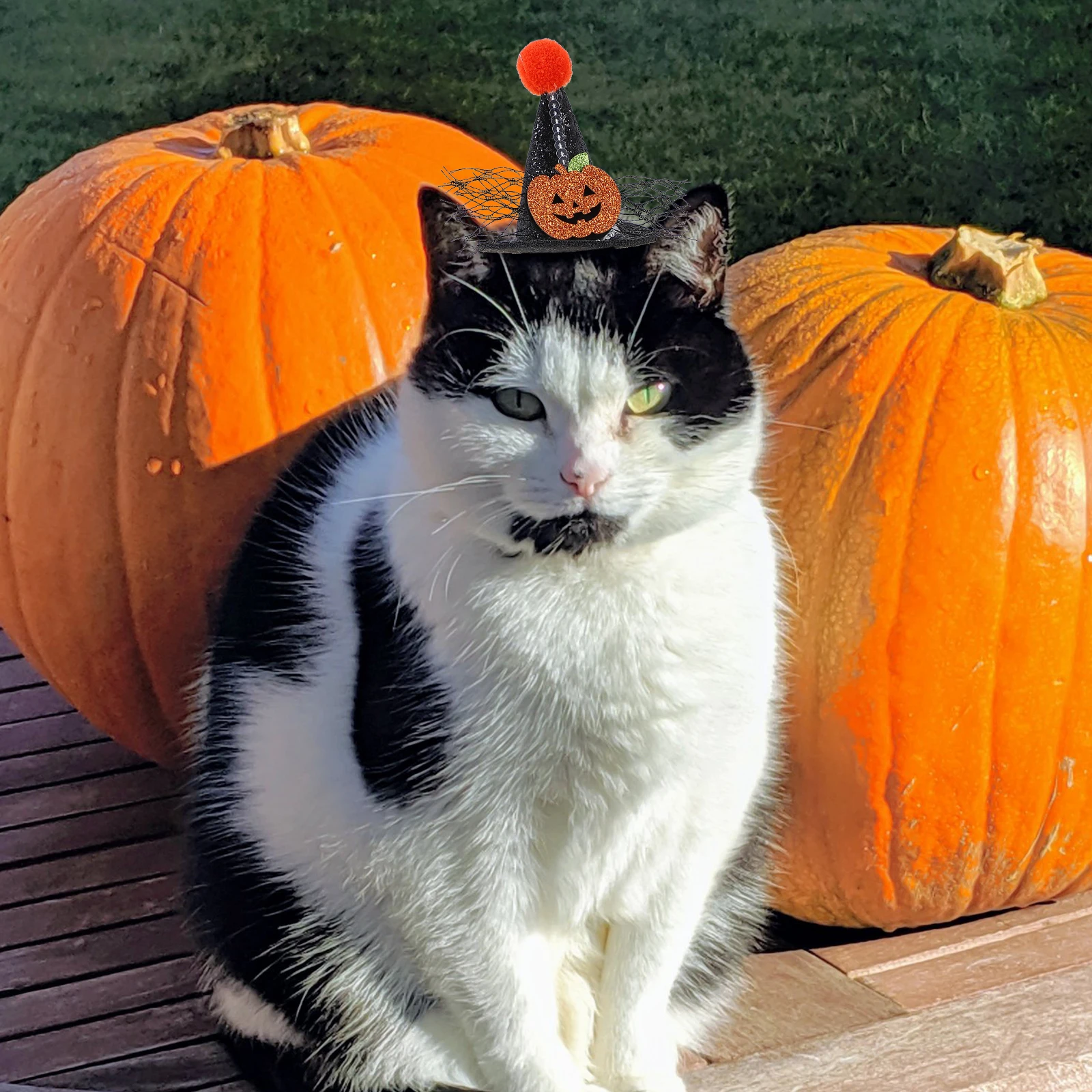 

Halloween Hat Costume Adjustable Straps Dog Cat Small Size Unique Shape Cloth Accessory Pets Party Cosplay Pet Costume Halloween