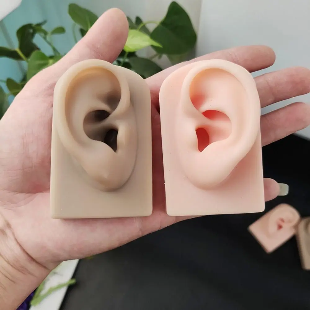 Teaching Tools Display Props Human for Hearing Teaching Fake Ear Jewelry Earrings Display Simulation Ear Silicone Ear Model