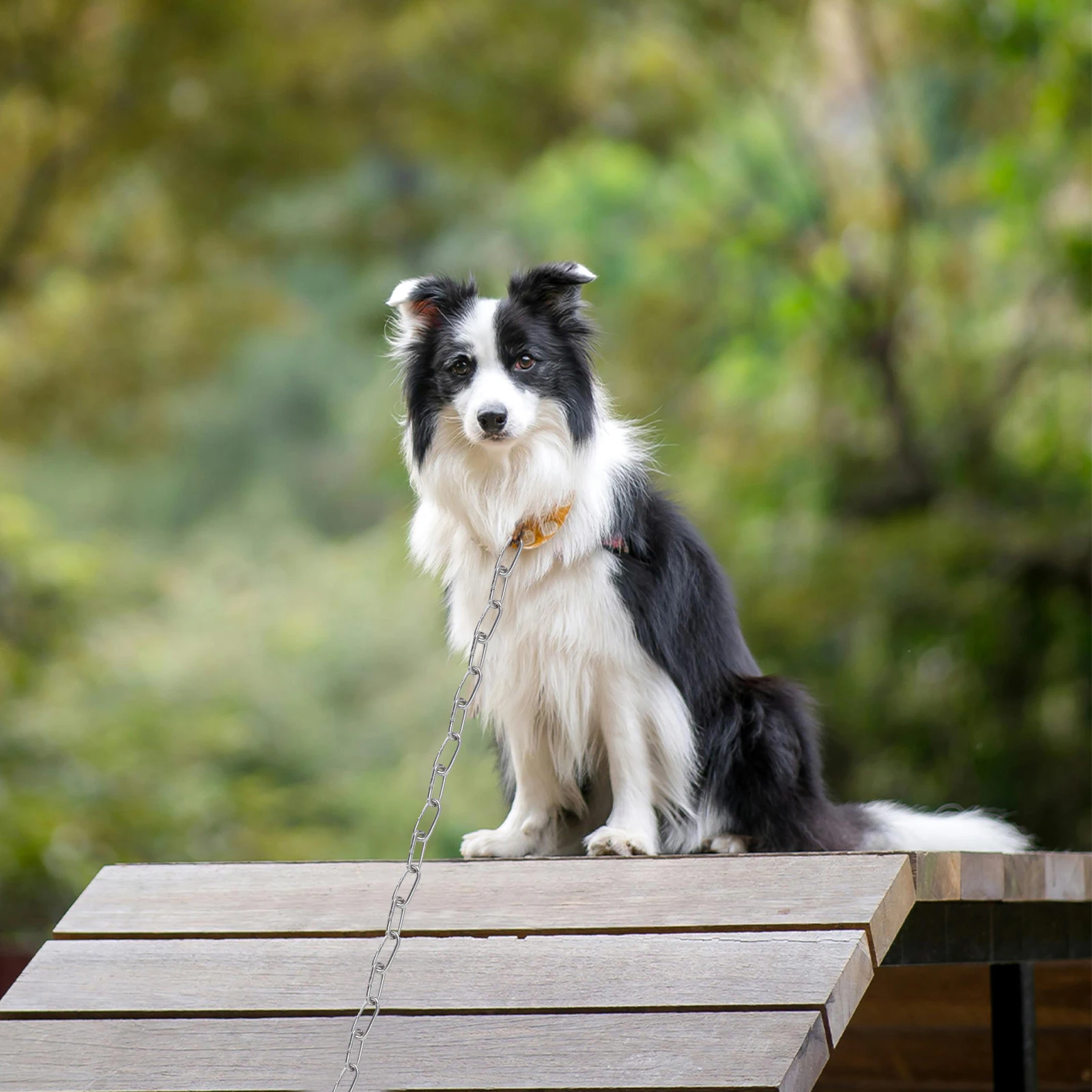 

Прочная цепь из нержавеющей стали 304, 4 мм, универсальное использование для домашних животных, светильники для кашпо, безопасность для кемпинга, безопасность для кемпинга