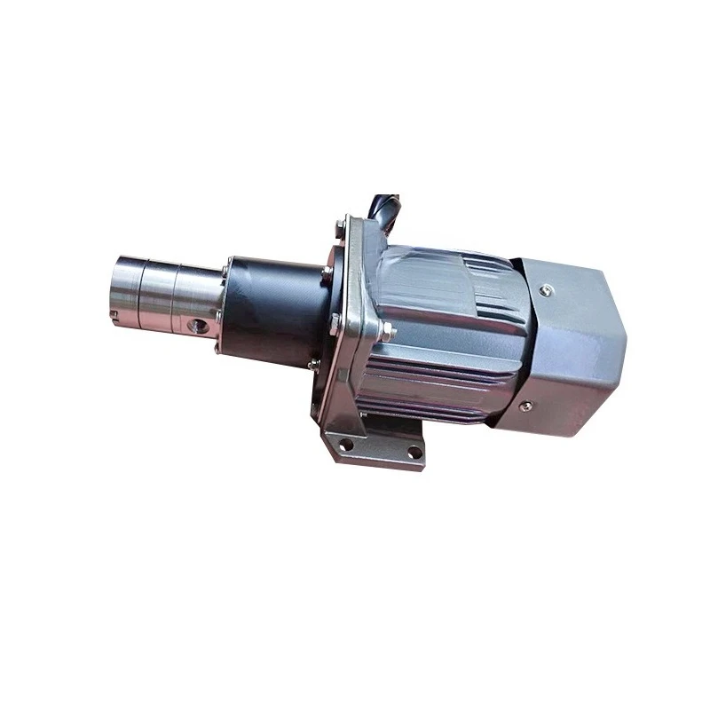Miniature Magnetic Magnetic Drive Gear Pump Liquid Delivery Stable Stainless Steel Gear Oil Pump