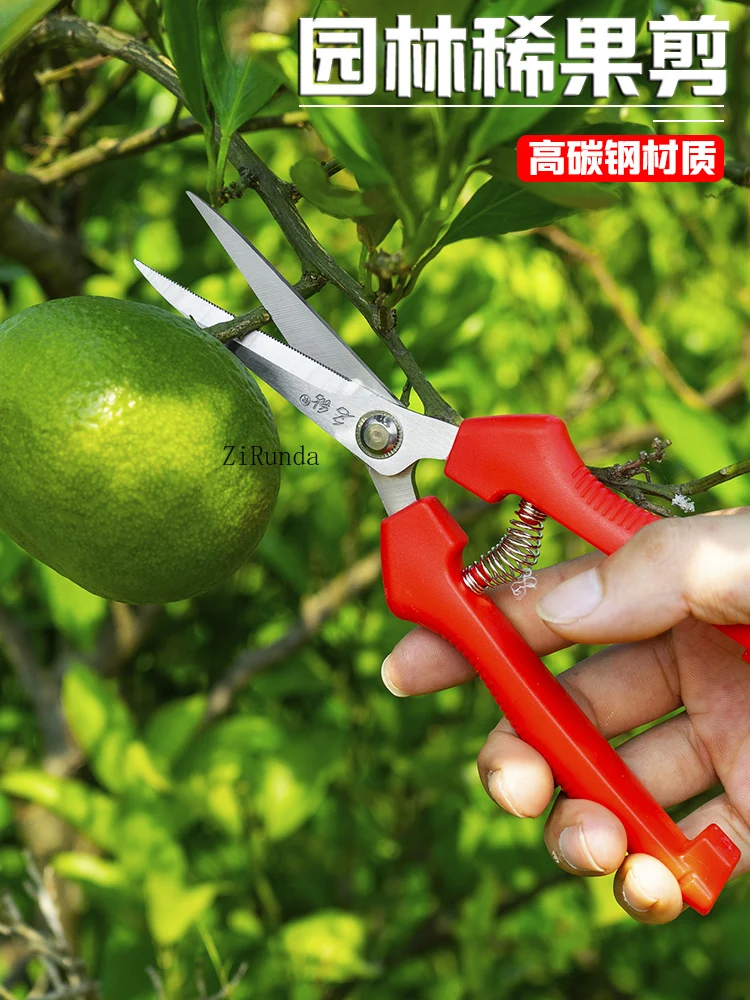 ~Household fruit picking scissors, scissors for picking oranges, special fruit pruning branches and flower pruning tools