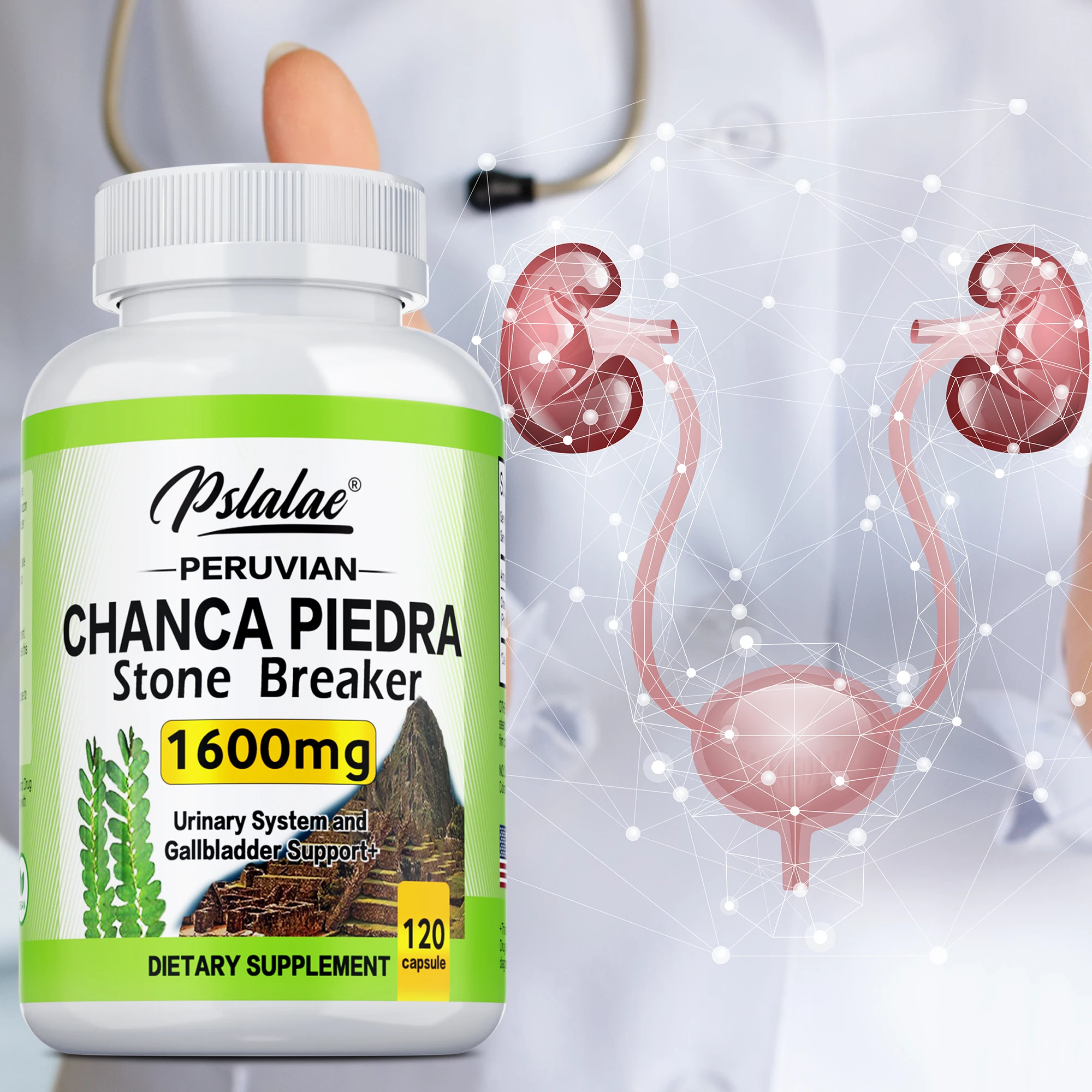 

Chanca Piedra 1600 мг — добавка для поддержки почек, очищает камни и желчные камни — 120 капсул