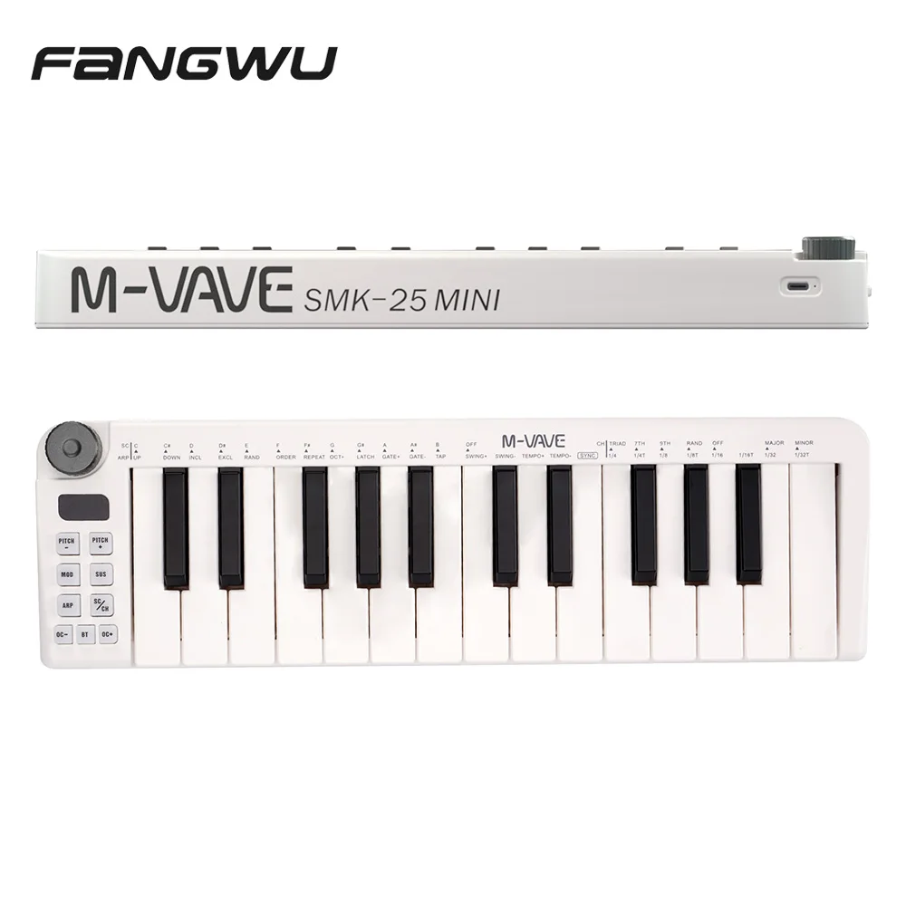 Professional Digital Electronic Piano Usb 25 Key Musical Instrument Midi Keyboard Controller