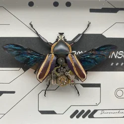 Beetle punk specimen Mechanical style insects Works of art Home furnishings Hall display home decor decorative figurines
