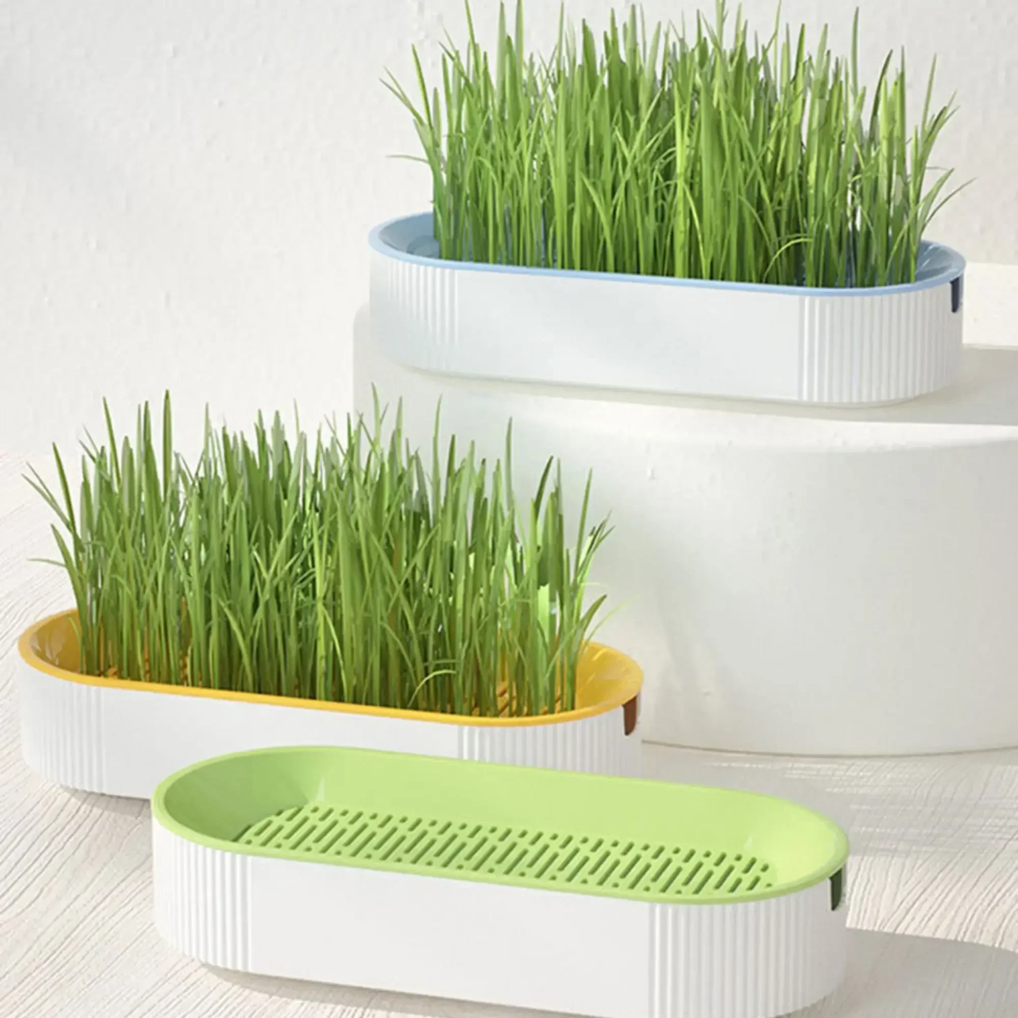 Cat Grass Planting Box Soilless Hydroponic Plant Cat Grass Home Seed Sprouter Tray Growing Cup Germination Greenhouse Grow Box