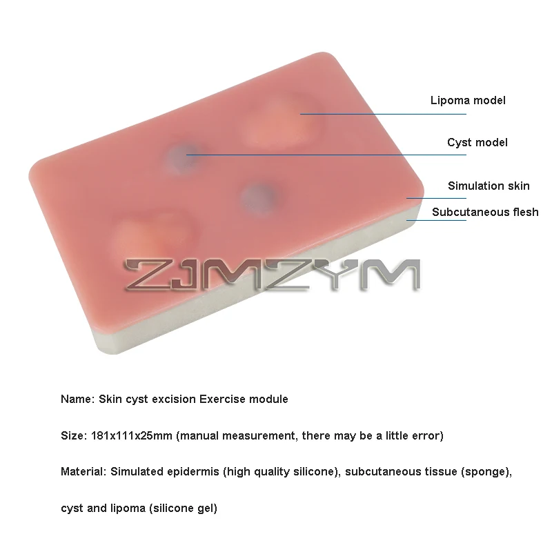 Módulo de sutura de escisión del quiste cutáneo de la piel, habilidades quirúrgicas, ejercicios de simulación para entrenamiento de estudiantes de medicina, enseñanza