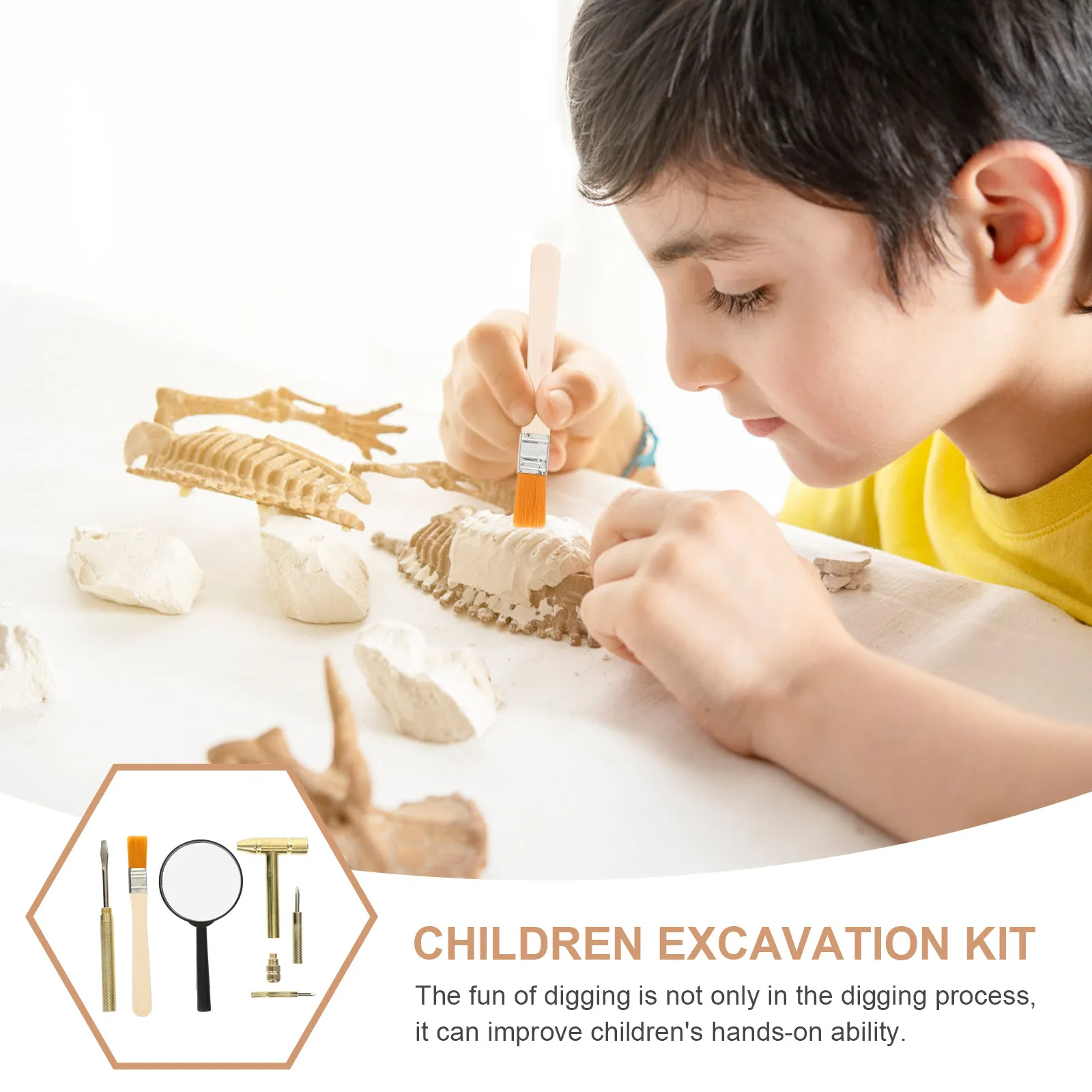 Набор для археологических раск – обзор и цена Kids Education Tools