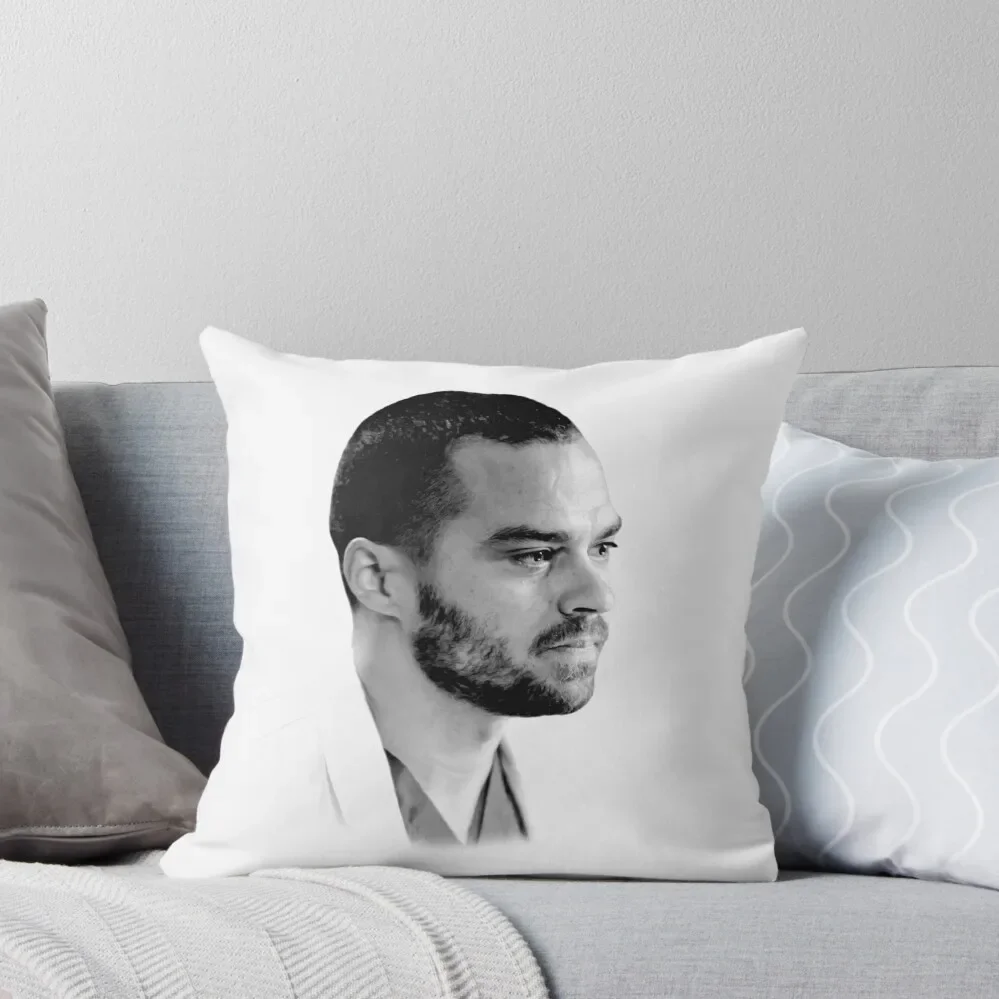 

Jackson Throw Pillow sleeping pillows luxury throw pillow covers pillow