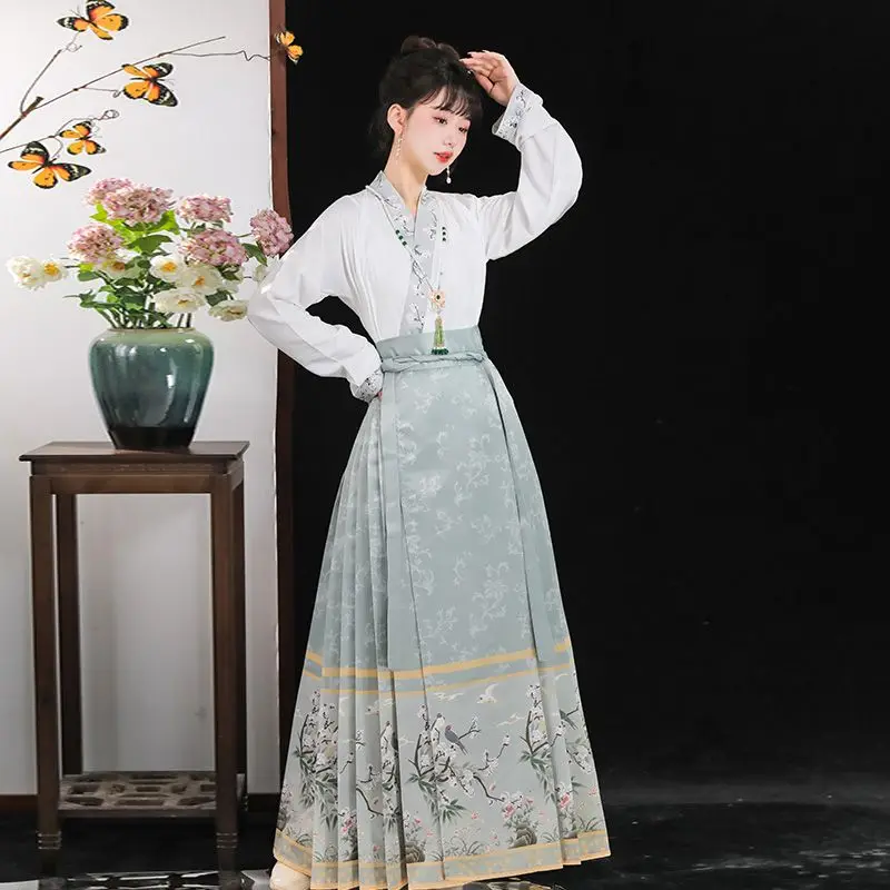 

Horse Face Skirt Ancient Hanfu Chinese Style Daily Hanfu Costume Mamianqun Ming Dynasty Traditional Clothing