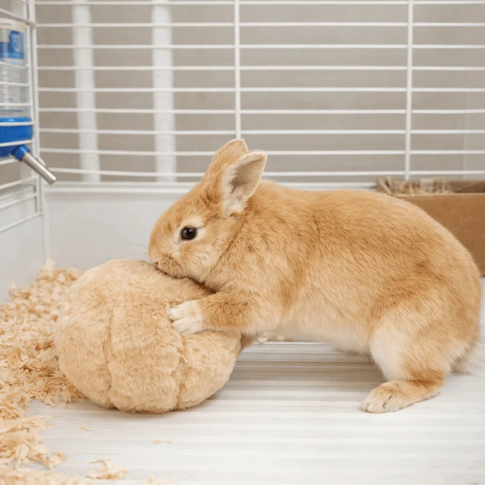 Bite Resistant Rabbit Soothing Ball Soft Rabbit Calming Ball Comfortable Simulated Rabbit Buttocks Rabbit Venting Ball